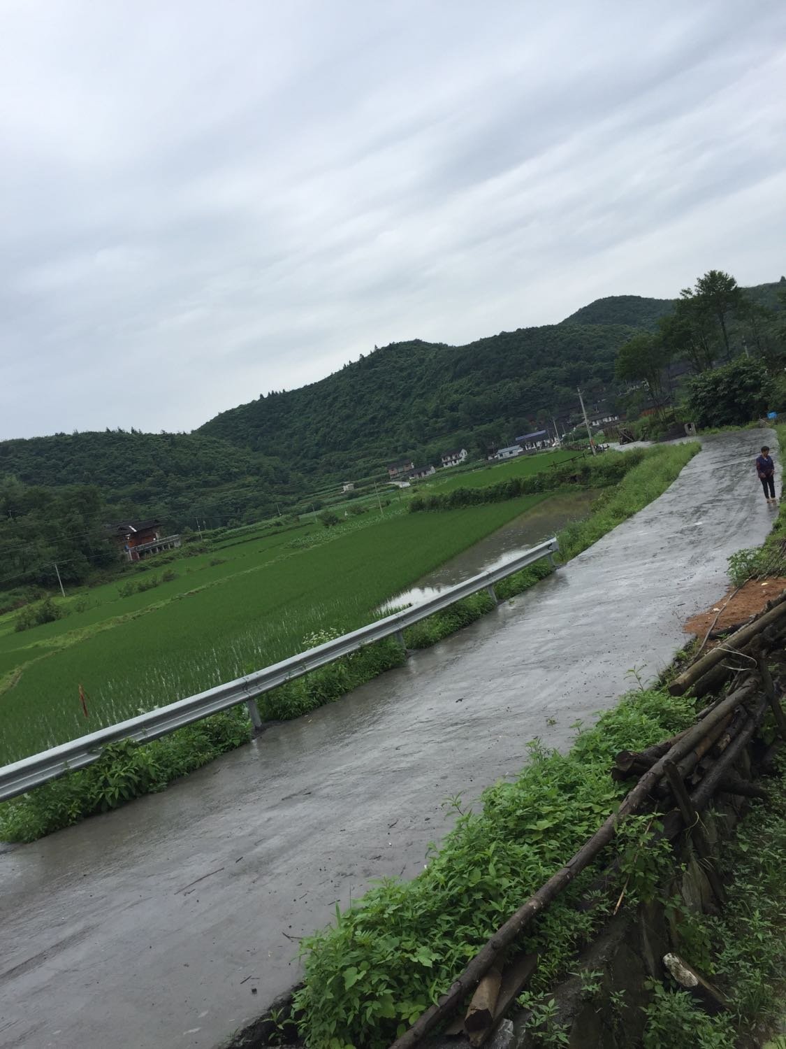 白茨滩村委会最新天气预报