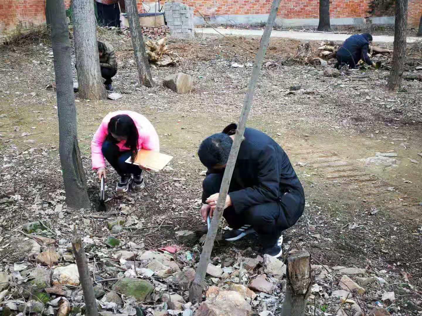 城郊街道最新天气预报