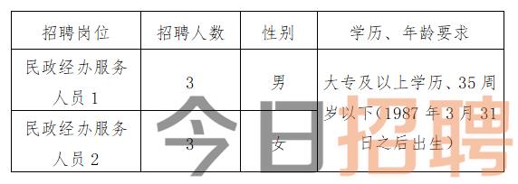 顺昌县人力资源和社会保障局最新招聘信息概览