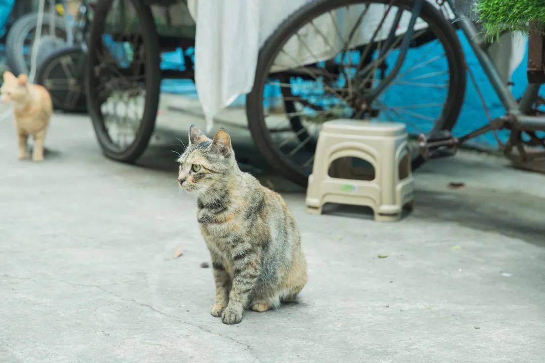 骅中街道办事处最新天气预报