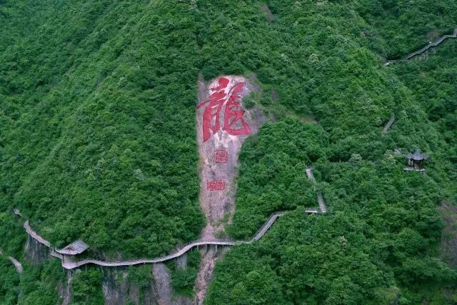 峻岭林场最新天气预报