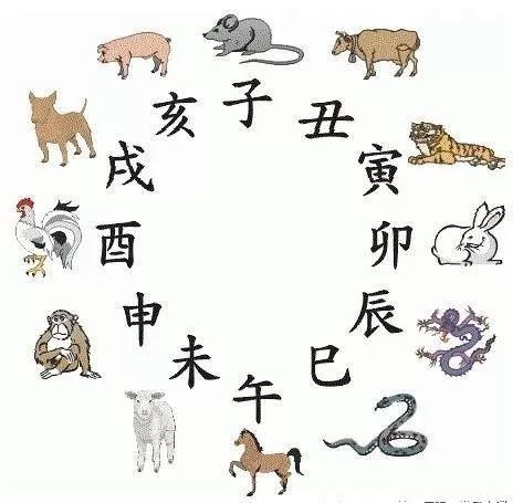 虎猪六合在地支，一恶来一无势的生肖解析