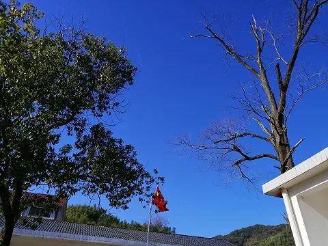 高山绿绿伴点雪，村外学校红旗飘——探寻生肖之神秘魅力