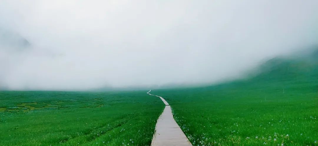 雨后草原，一幅灵动的水灵世界与生肖的交融