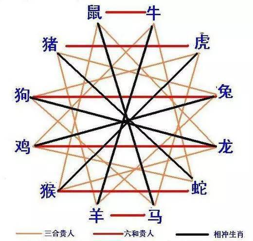 一三五合八，二门有波路——精准生肖动物解读