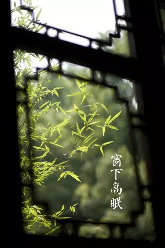 天寒雨细光景促，夏夜僧窗淡月笼——时光中的生肖影韵