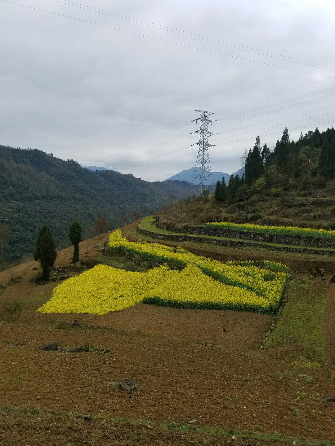 善感乡最新天气预报