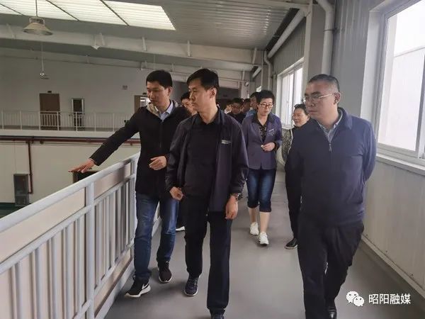 南海区体育局最新发展规划，构建现代化体育体系，推动区域体育事业全面发展