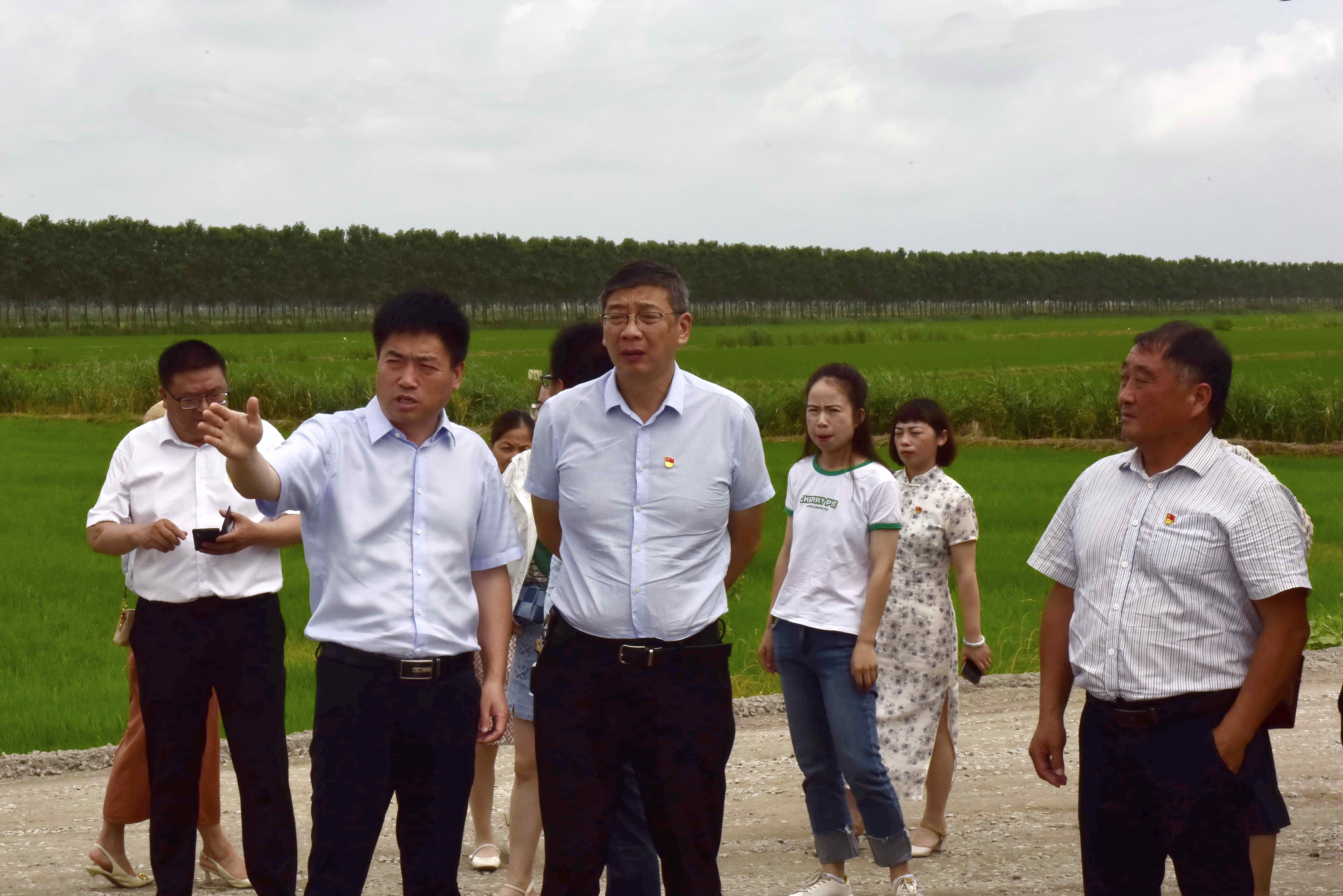 新海农场最新领导引领农场迈向新征程