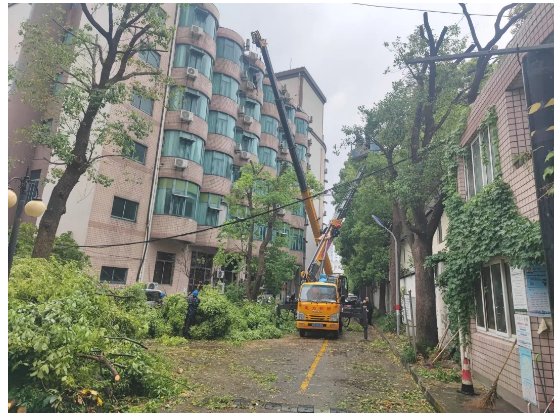 水泉社区居委会最新项目，重塑社区未来，打造宜居环境