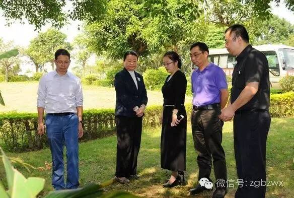 犍为县殡葬事业单位最新动态与改革进展新闻