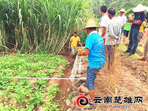 管沟村委会最新招聘信息概览