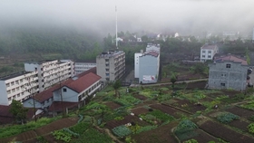 赵家坝村委会最新项目，重塑乡村，走向繁荣