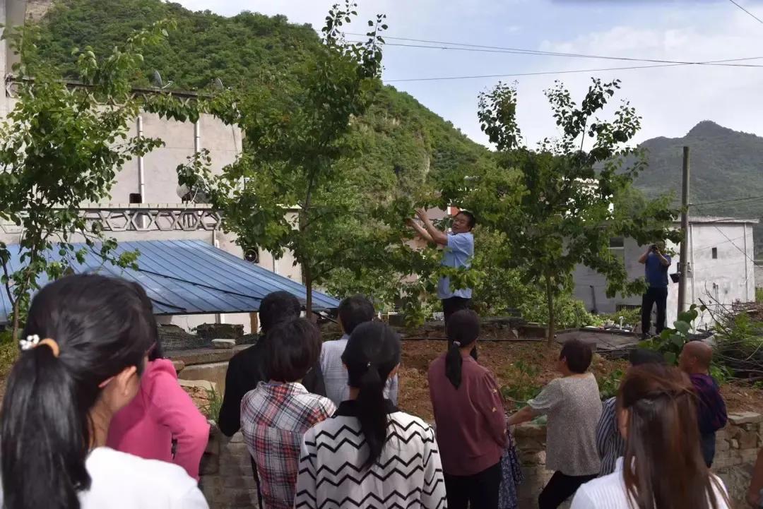 商南县小学最新领导团队，引领未来教育的核心力量