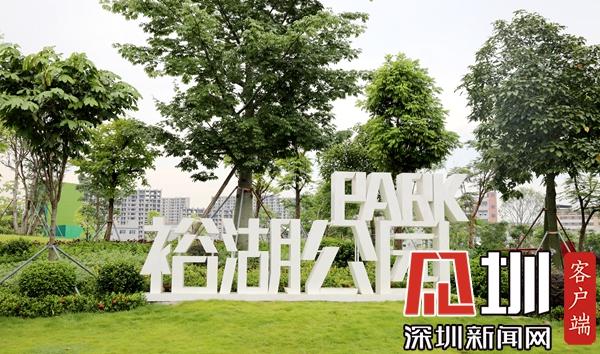 西环路街道办事处最新交通新闻