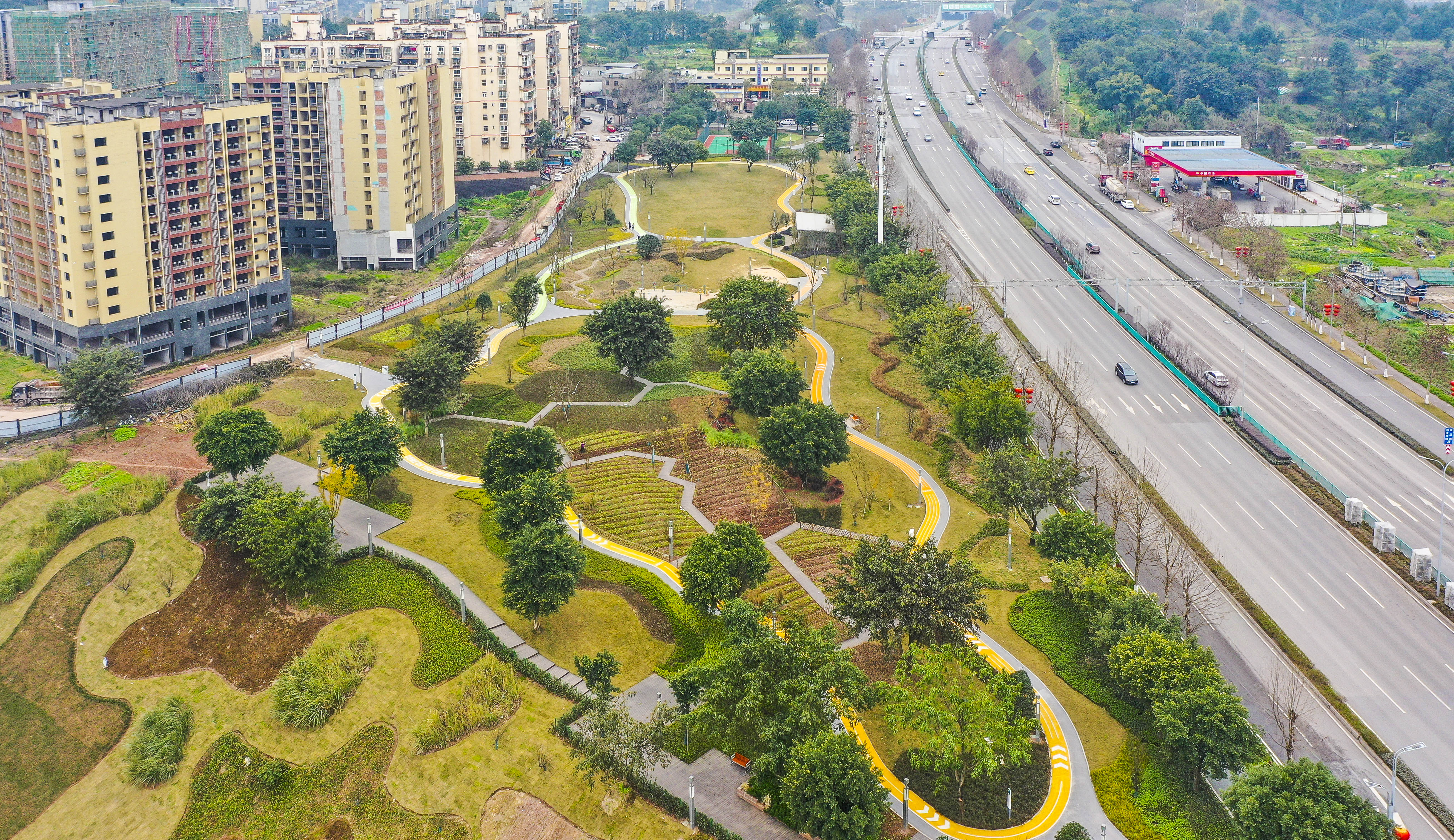 茶园街道最新项目，重塑城市生态与社区活力