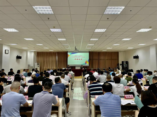 沙湾区市场监督管理局最新项目，推动区域经济发展与消费者权益保护的新动力