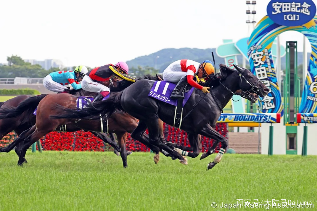 香港特马资料王中王与纯熟释义解释落实的深度探讨