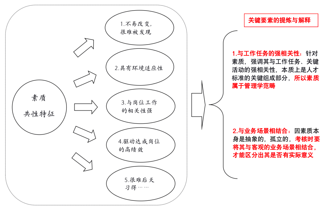 新澳资料大全一肖盛大释义解释落实，迈向未来的关键要素解析