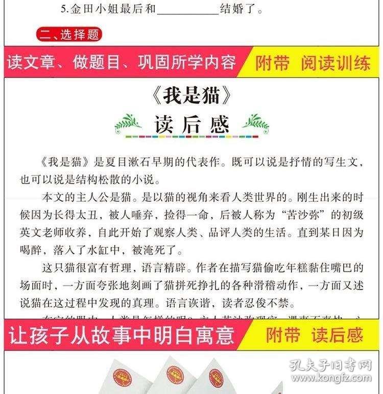 澳门特马今晚开奖结果感释义解释落实——图片大全与未来展望