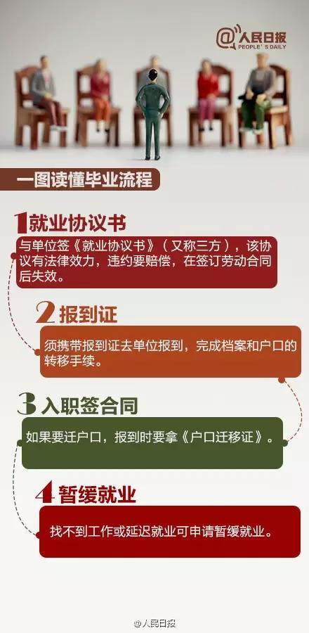 新奥梅特免费资料大全，现状释义、解释与落实的深入探索（2025年）