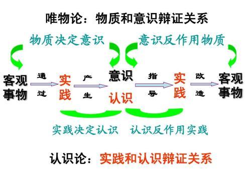 澳门精准免费资料，功能释义、解释与落实