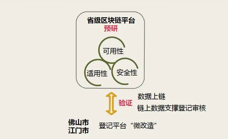 探索新奥精准资料免费大全，力解释义与落实策略