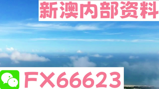 新澳今日最新资料解读与落实研究释义——以关键词995为中心