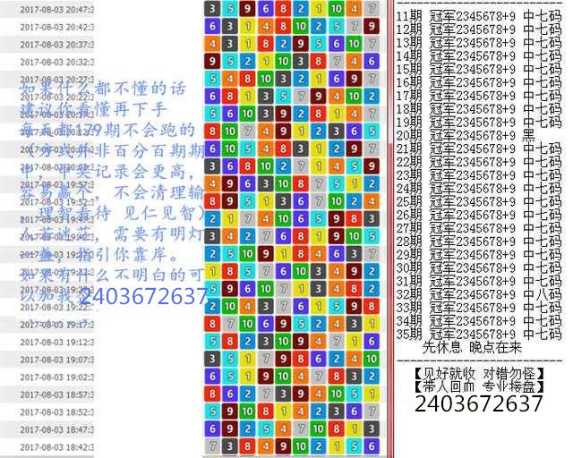 澳门特马王中王中王，行动释义、解释与落实的重要性