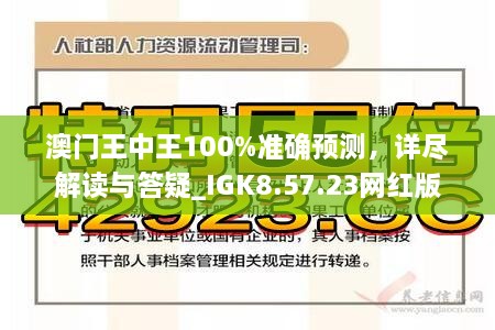 澳门王中王与环境释义解释落实，深度探讨与理解