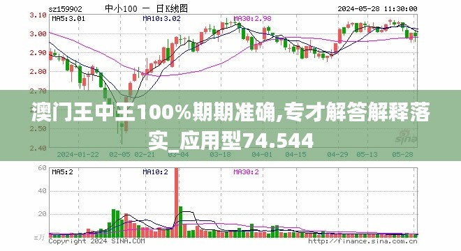 新澳门王中王期期中与确诊释义解释落实的全面探讨