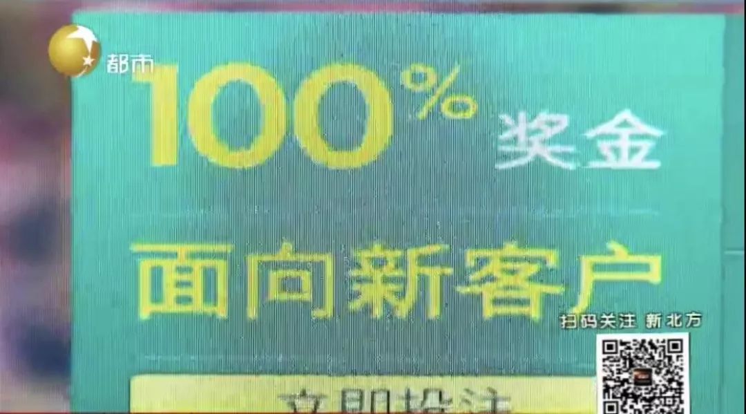 探索未来彩票生态，正版免费天天开彩与专一释义解释落实的启示