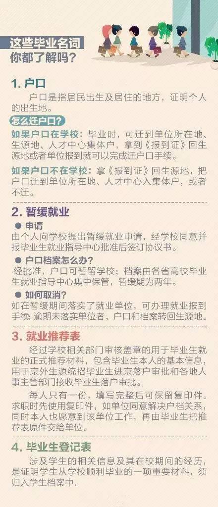 关于澳彩资料查询与专栏释义解释落实的全面解析——以关键词0149775cσm为中心