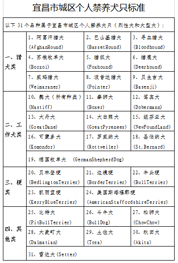 精准管家婆，人力释义、解释与落实的关键策略