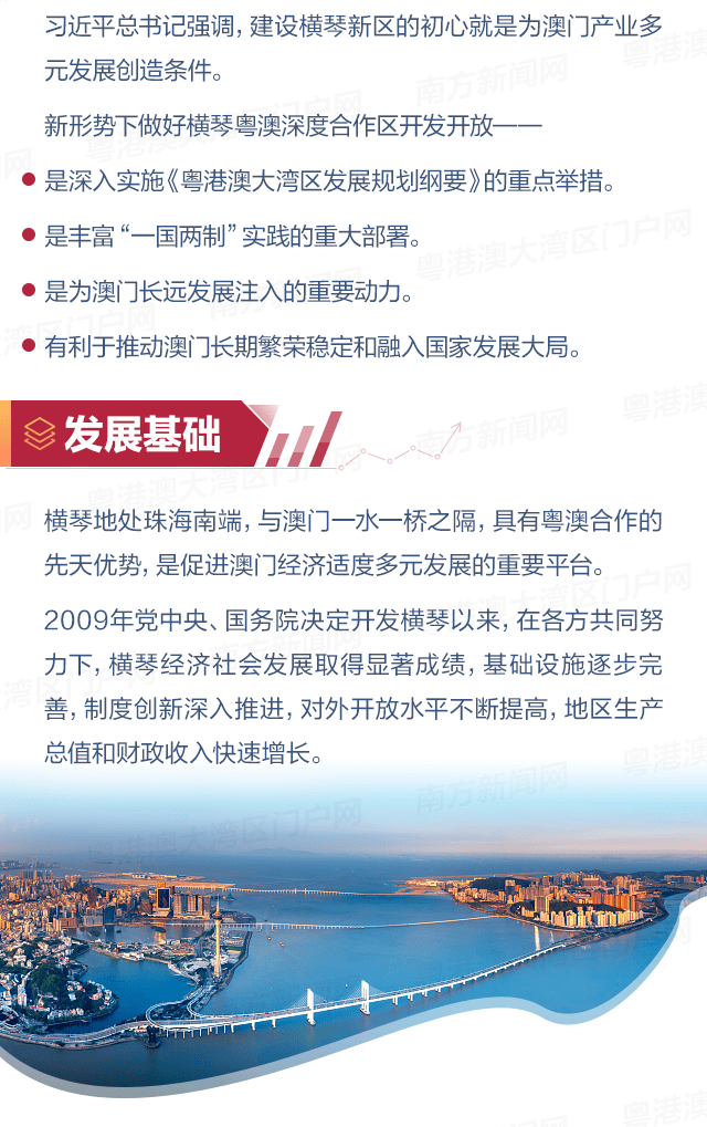 澳门100%最准一肖，深度解析与释义落实