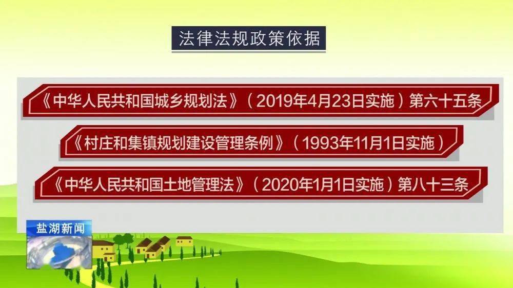 澳门一码一肖一特一中与典雅释义的完美结合，深度解读与落实策略