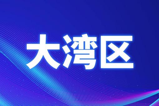 深度解读，2025年管家婆资料正版大全澳门与验证释义的落实