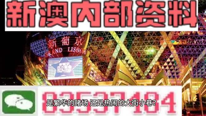 新澳门精准资料大全管家，框架释义、解释与落实