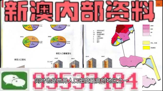 澳门正版免费精准资料解析与力推释义落实展望