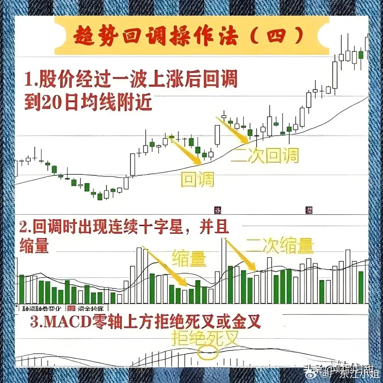 解析一肖一码一中一特，理论释义、解释与落实策略