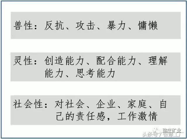 三肖必中特三肖三码官方下载，确认释义解释落实的重要性与操作指南