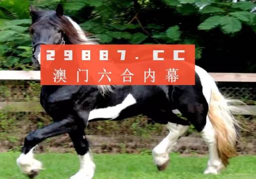 澳门香港一肖一码一中一特免费公开，利润释义解释落实