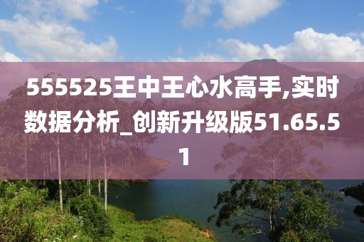 探究王中王心水高手，竞争释义下的实力展现与策略落实