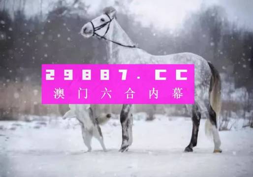 澳门一肖一码精准预测，探索与解读公允释义的落实之道