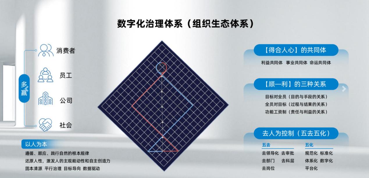 三肖必中特三肖三码免费公开，深度解读与实际应用策略