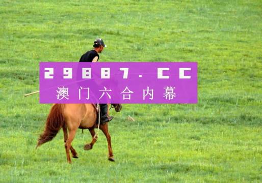 澳门4949开奖免费资料与勇为释义，实践中的落实