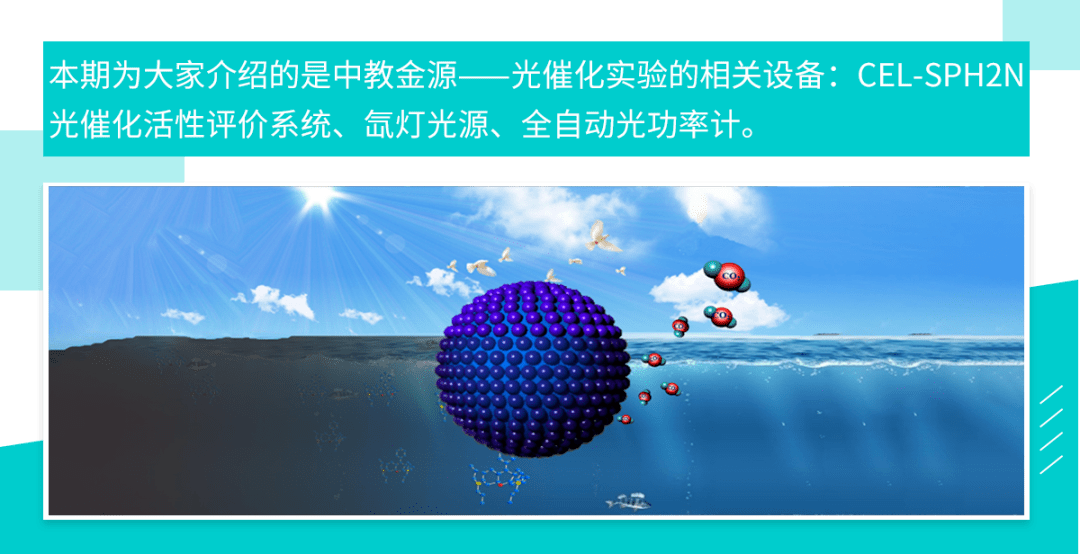 王中王资料大全及其相关释义解析与落实策略