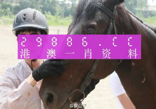 澳门必中一一肖一码服务内容解析与实施能力释义