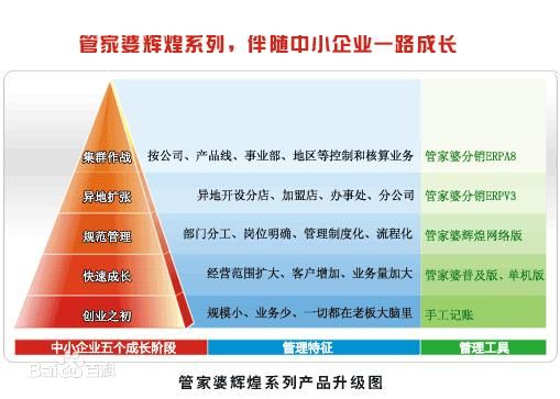 探索精准管家婆，从分层释义到实践落实的全方位解析