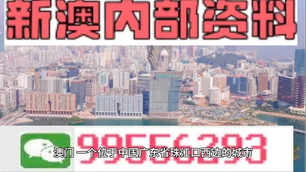 新澳门2025年资料大全与学问释义的落实研究